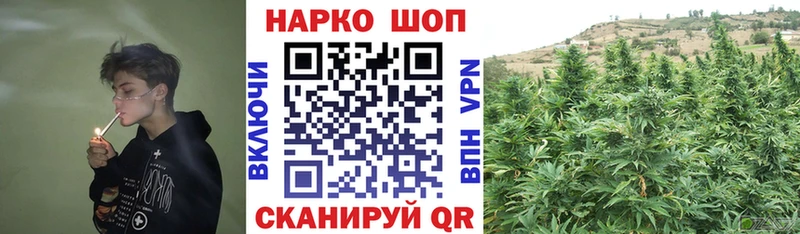 Магазины продажи наркотиков Электрогорск МЕТАДОН  Мефедрон  АМФ  Канабис  Гашиш  КОКАИН 