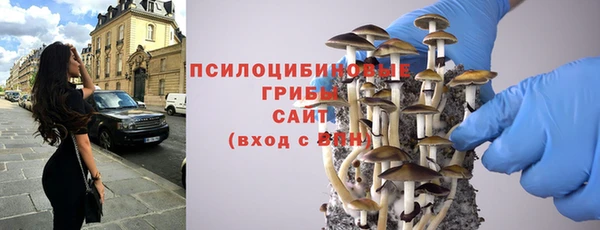 скорость mdpv Белокуриха