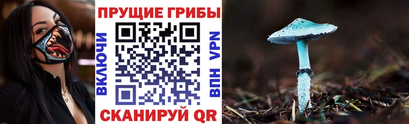 Галлюциногенные грибы прущие грибы  Электрогорск 